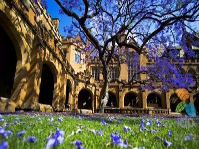 美好學(xué)校|走進(jìn)遠(yuǎn)恒佳，世界名校與您有約