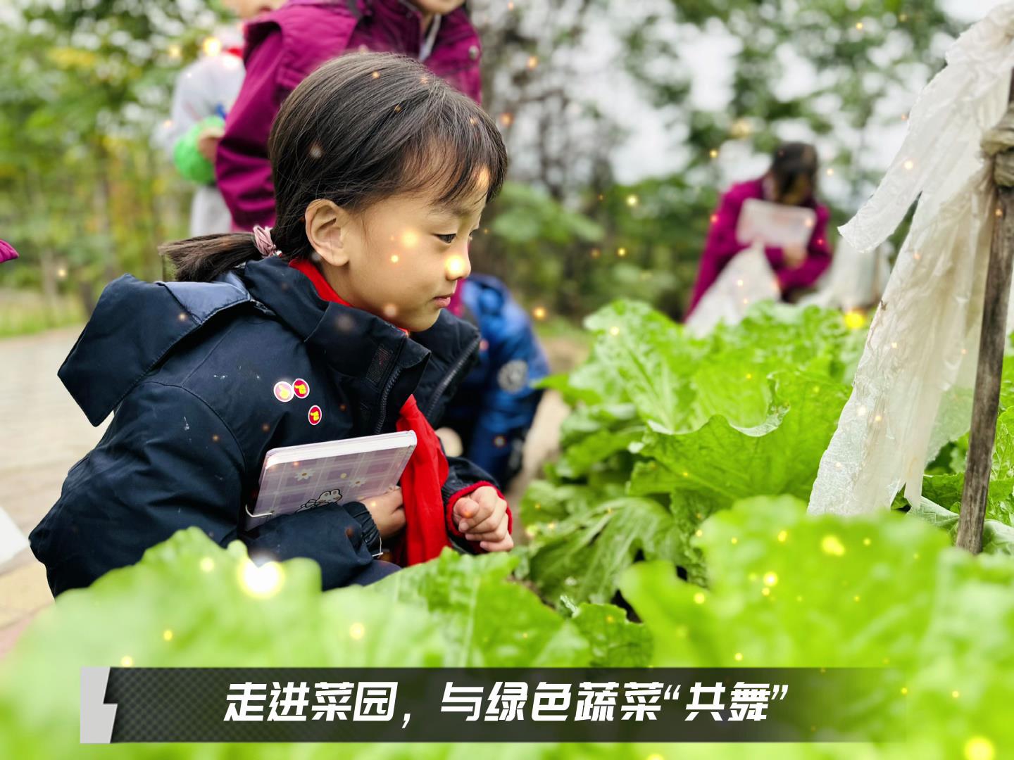 #美好學(xué)校|留校時光，走出教室，與綠色蔬菜共舞