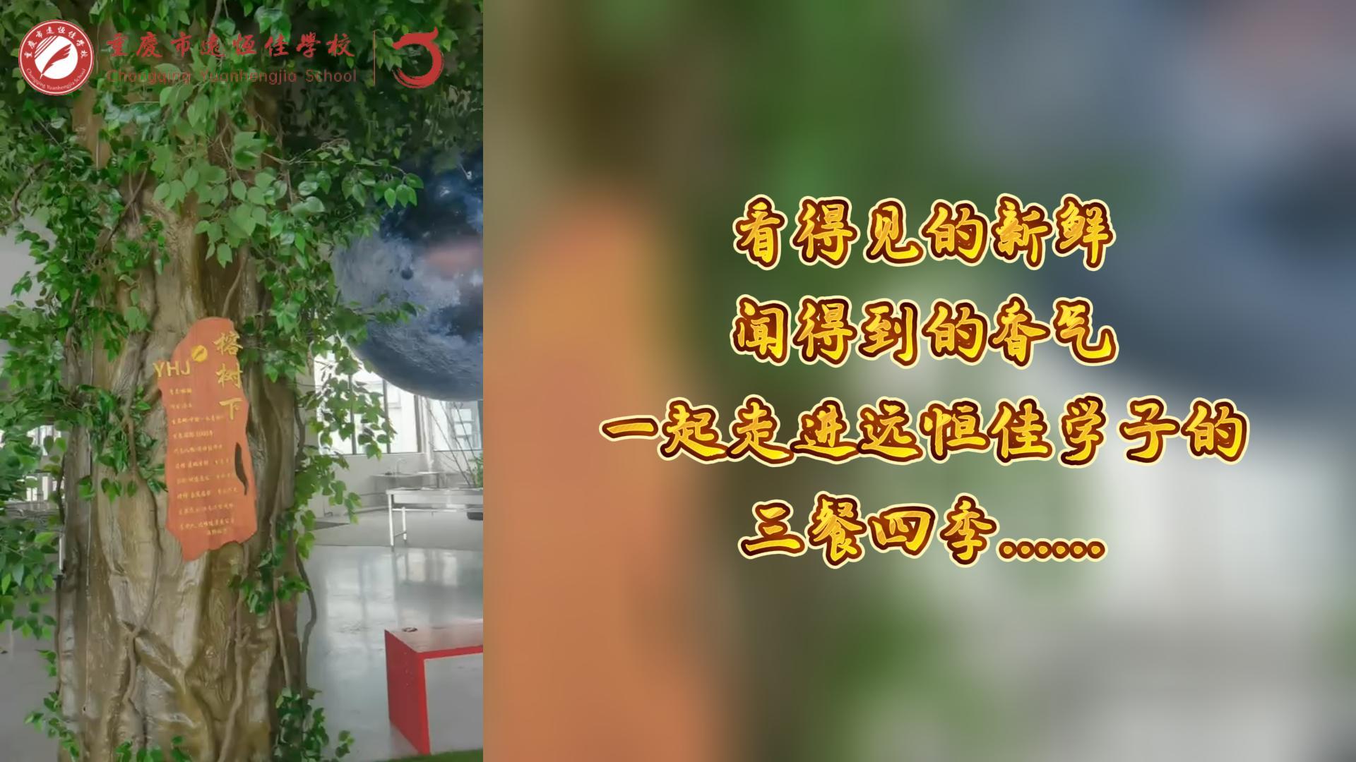 #美好學(xué)校|看得見的新鮮，聞得到的香味，一起走進遠恒佳學(xué)子的三餐四季!